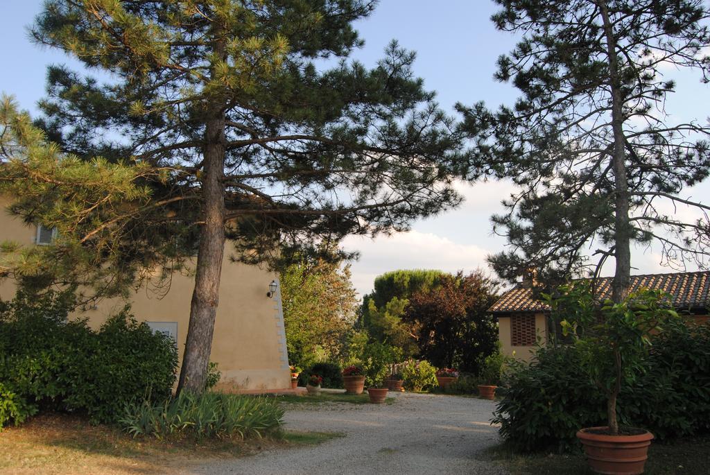 Il Colombaio, Siena -Appartamenti E Camere- Isola d'Arbia Exterior photo